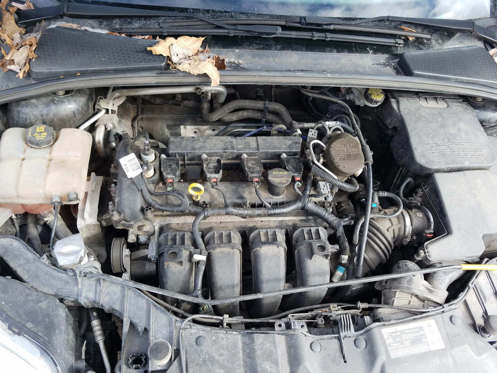 Photo 7 from auction – 2014 FORD FOCUS SE with VIN 1FADP3F28EL150537