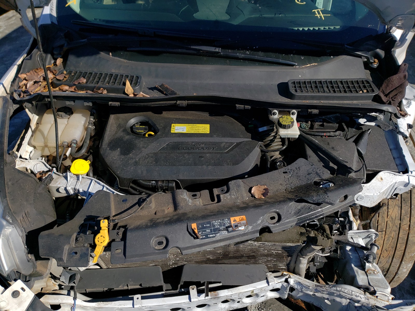 Photo 7 from auction – 2014 FORD ESCAPE SE with VIN 1FMCU0GX6EUB38559