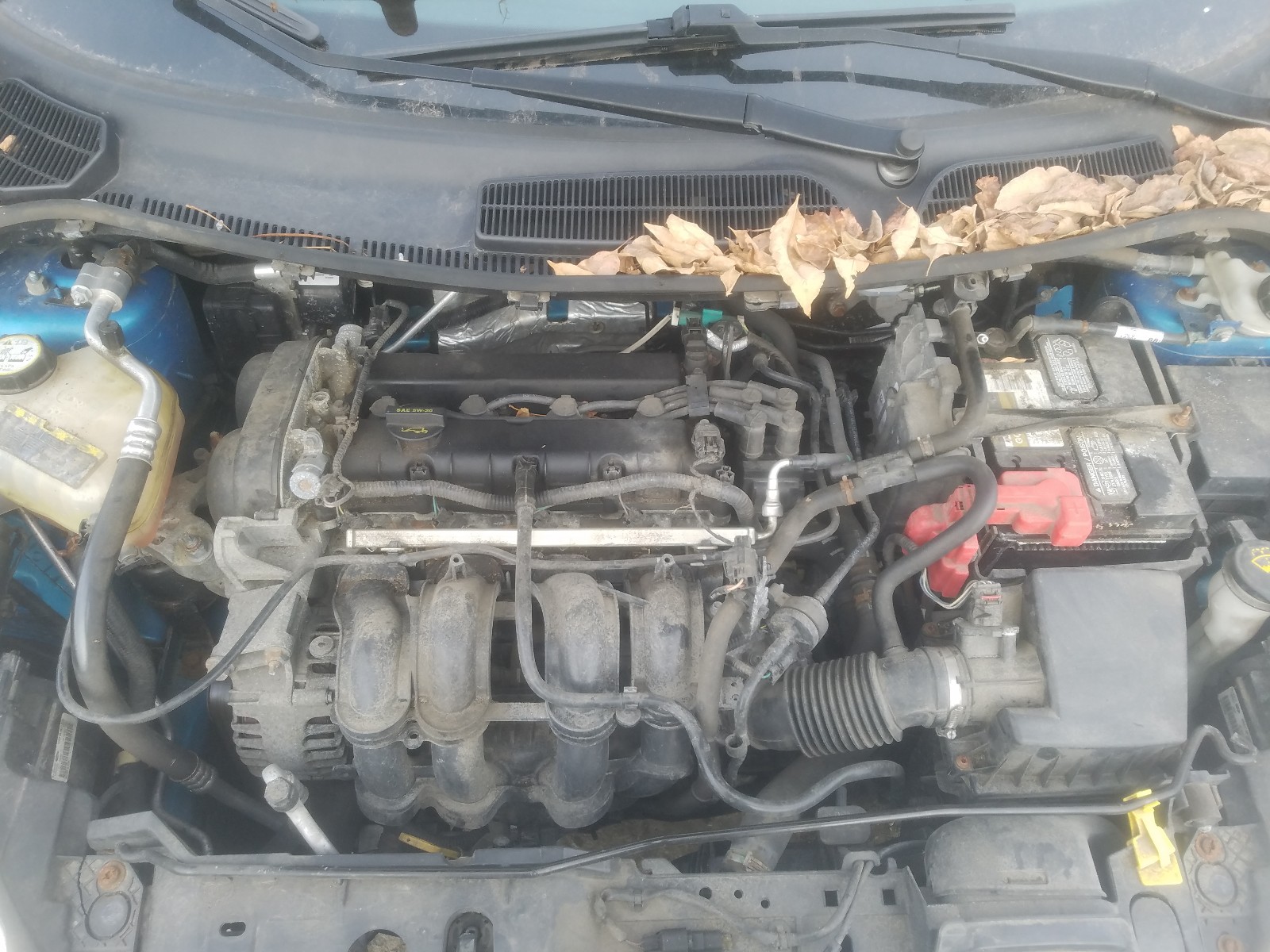 Photo 7 from auction – 2012 FORD FIESTA SE with VIN 3FADP4BJ3CM184352
