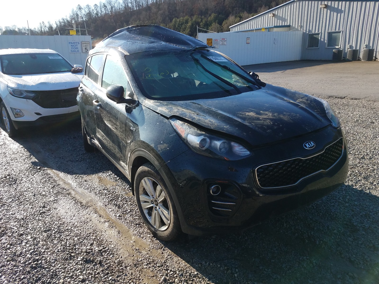 KIA SPORTAGE L 2019 with VIN KNDPMCAC2K7531319 - Photo from auction