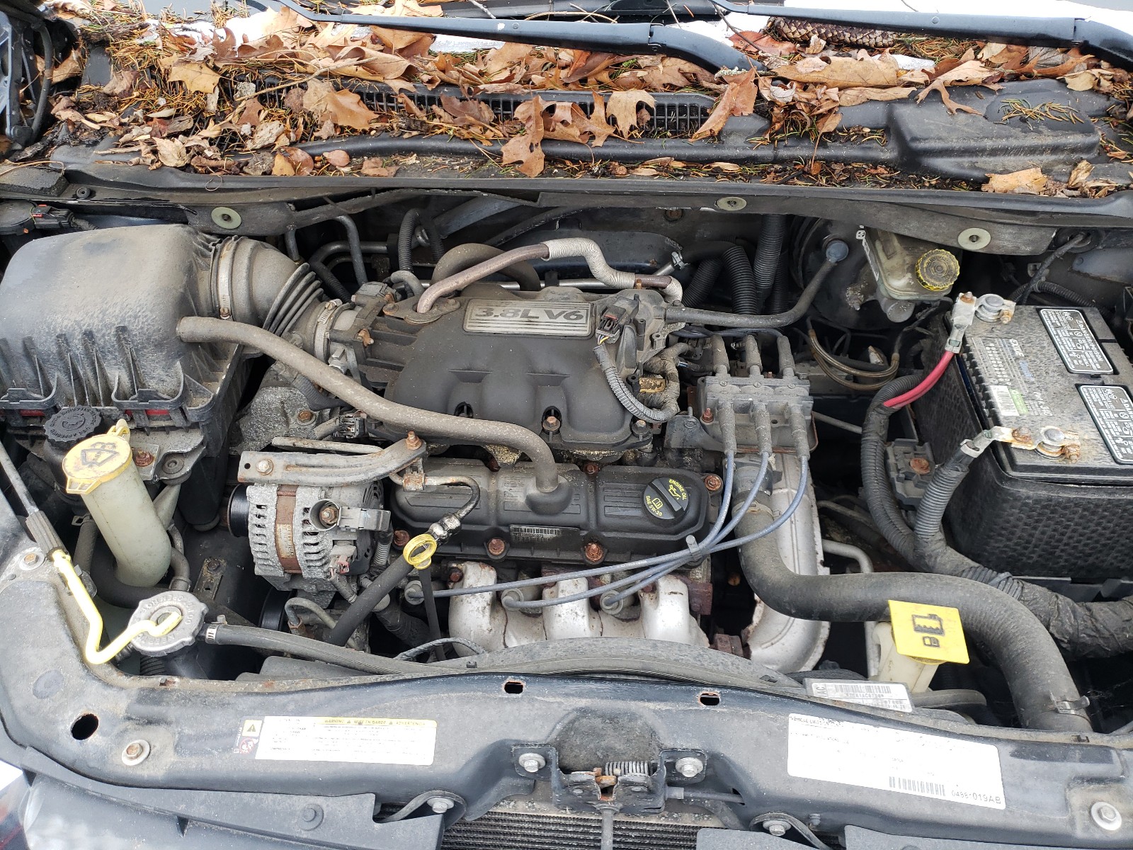 Photo 7 from auction – 2008 DODGE GRAND CARA with VIN 1D8HN54PX8B161661