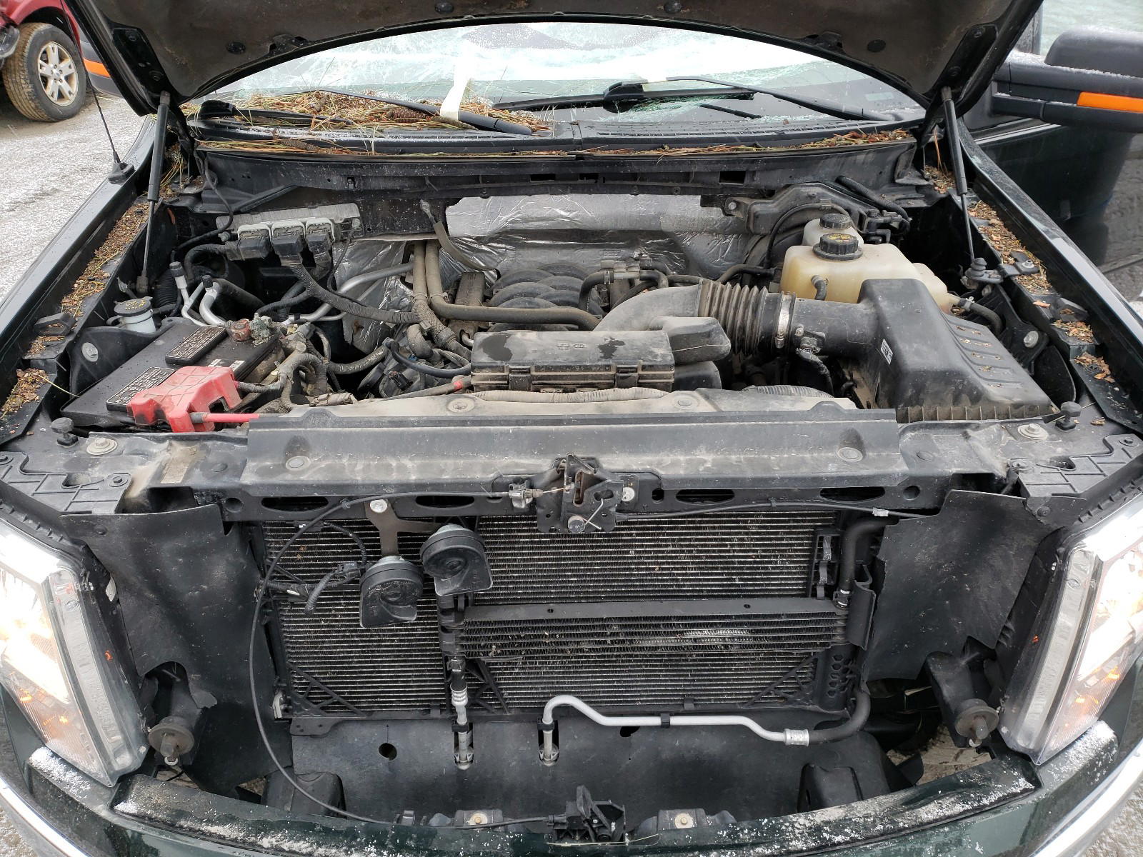 Photo 7 from auction – 2013 FORD F150 SUPER with VIN 1FTFX1EF3DKD21226