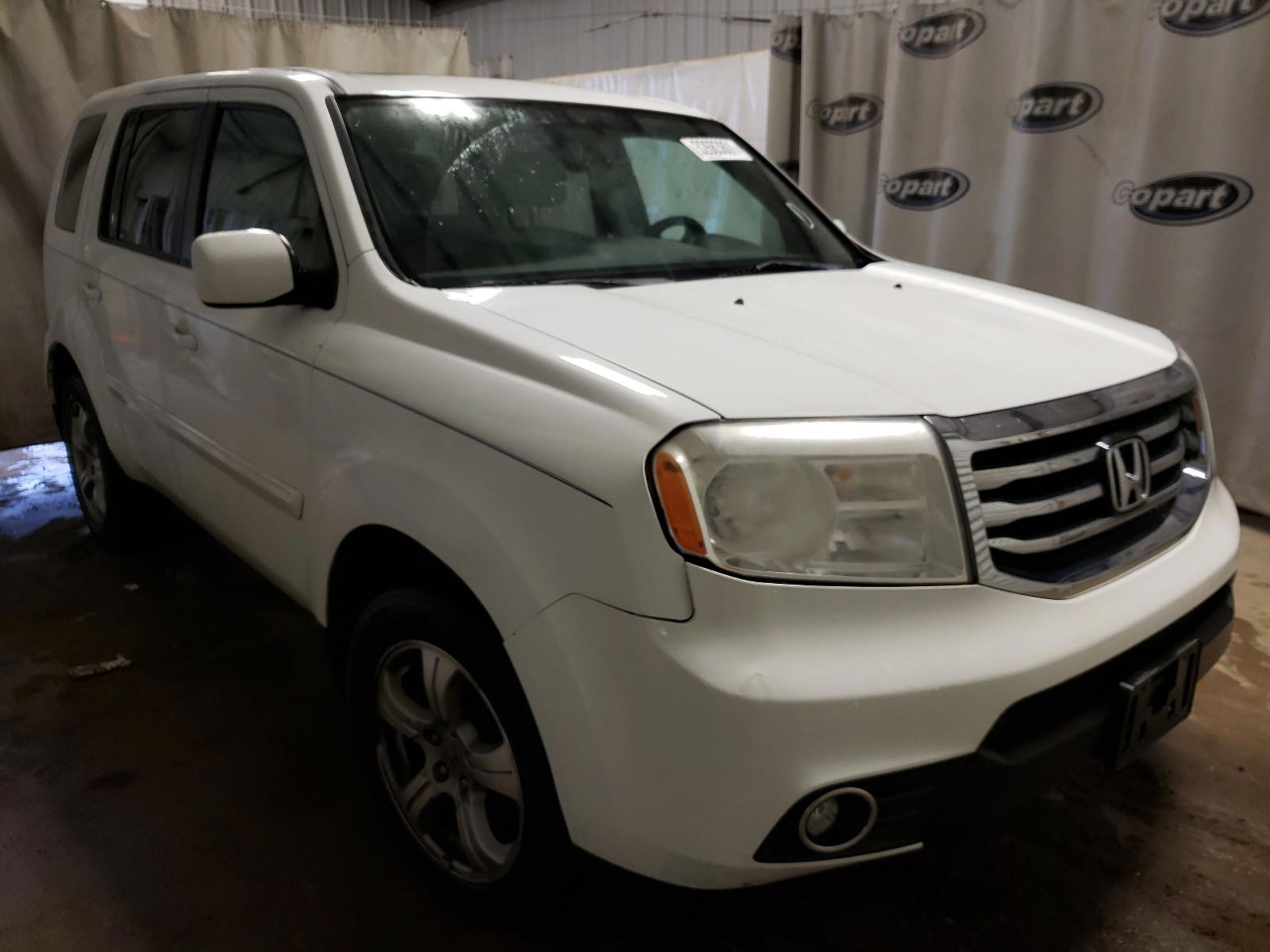 HONDA PILOT EXL 2013 with VIN 5FNYF3H69DB006236 - Photo from auction