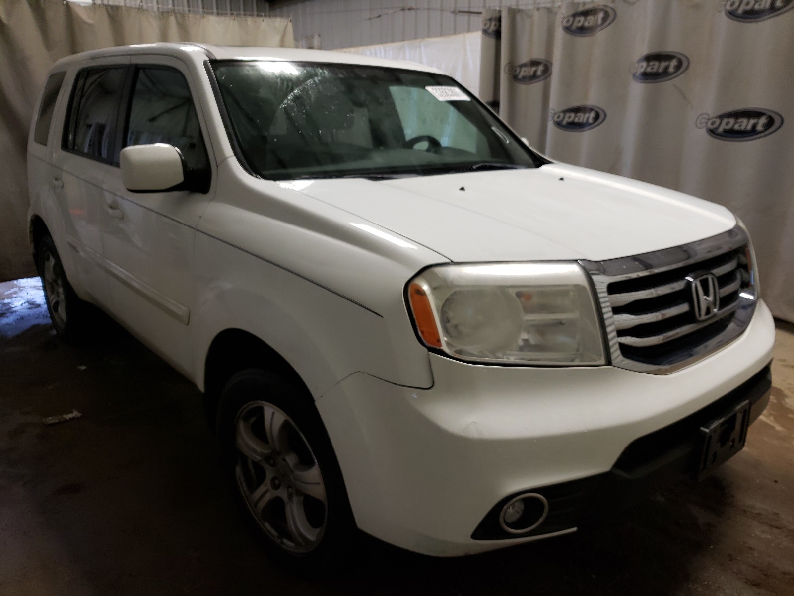 Фото 1 с аукциона – 2013 HONDA PILOT EXL с VIN 5FNYF3H69DB006236