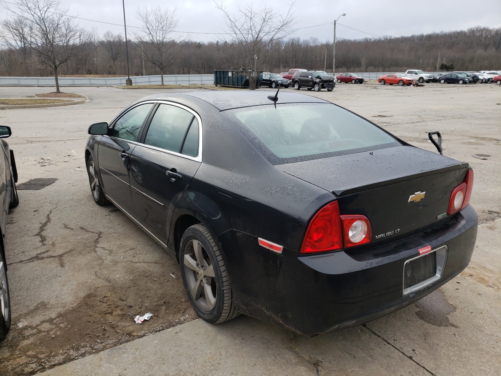 Photo 3 from auction – 2011 CHEVROLET MALIBU 1LT with VIN 1G1ZC5EU8BF165892