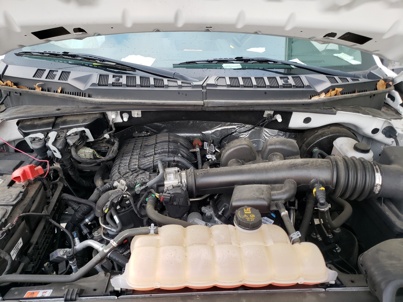 Photo 7 from auction – 2018 FORD F150 with VIN 1FTMF1CB4JKF86081