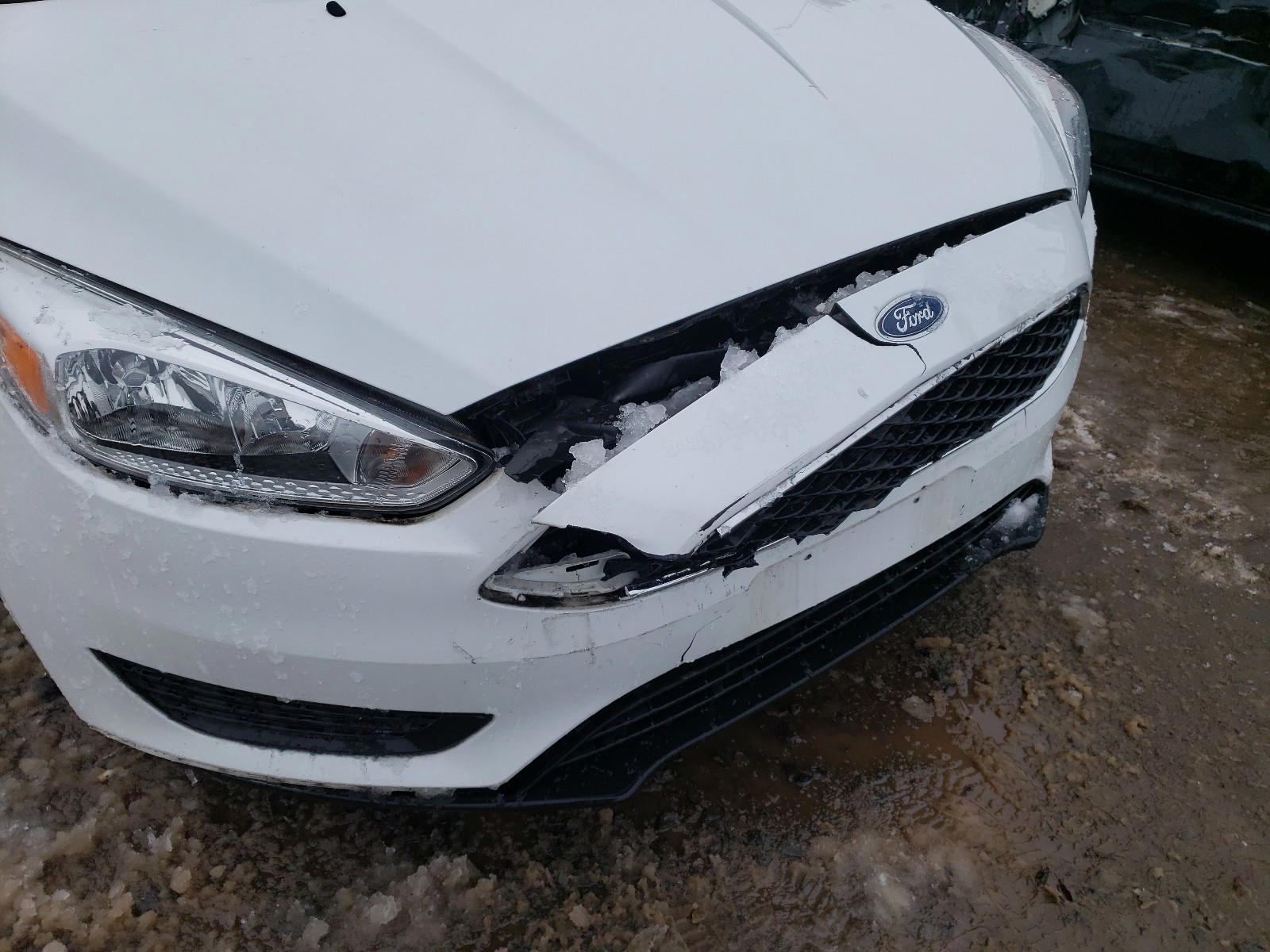 Photo 9 from auction – 2016 FORD FOCUS SE with VIN 1FADP3K25GL300399