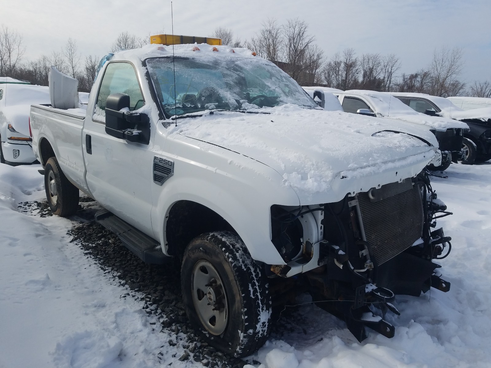 FORD F250 SUPER 2009 with VIN 1FTNF21509EA31744 - Photo from auction