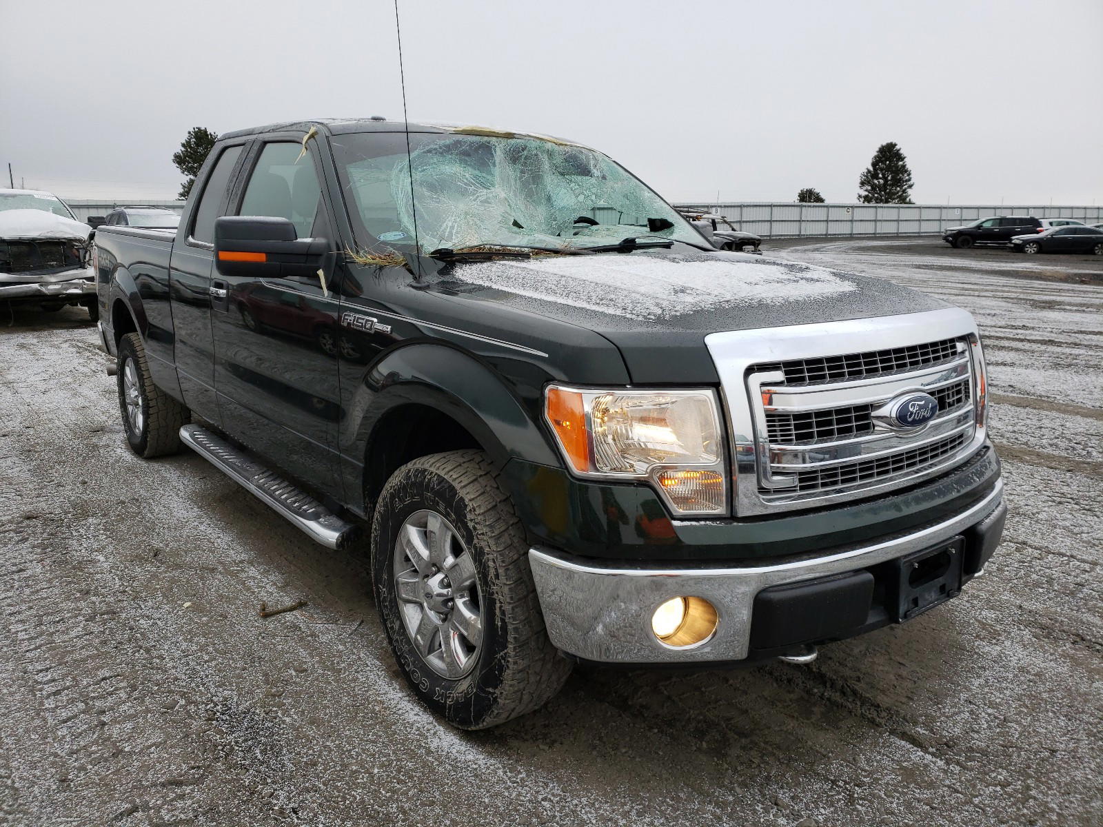 FORD F150 SUPER 2013 with VIN 1FTFX1EF3DKD21226 - Photo from auction
