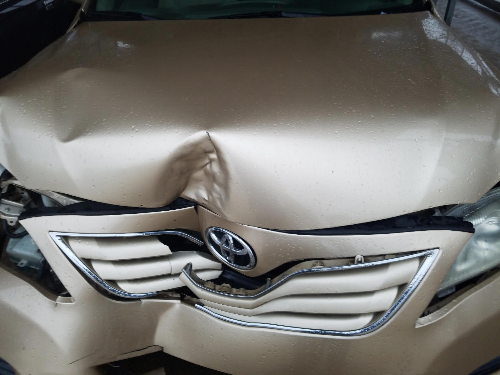 Photo 7 from auction – 2010 TOYOTA CAMRY BASE with VIN 4T1BF3EK3AU006206