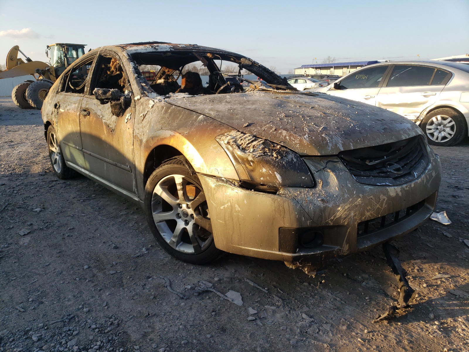 NISSAN MAXIMA 2007 with VIN 1N4BA41E27C835734 - Photo from auction