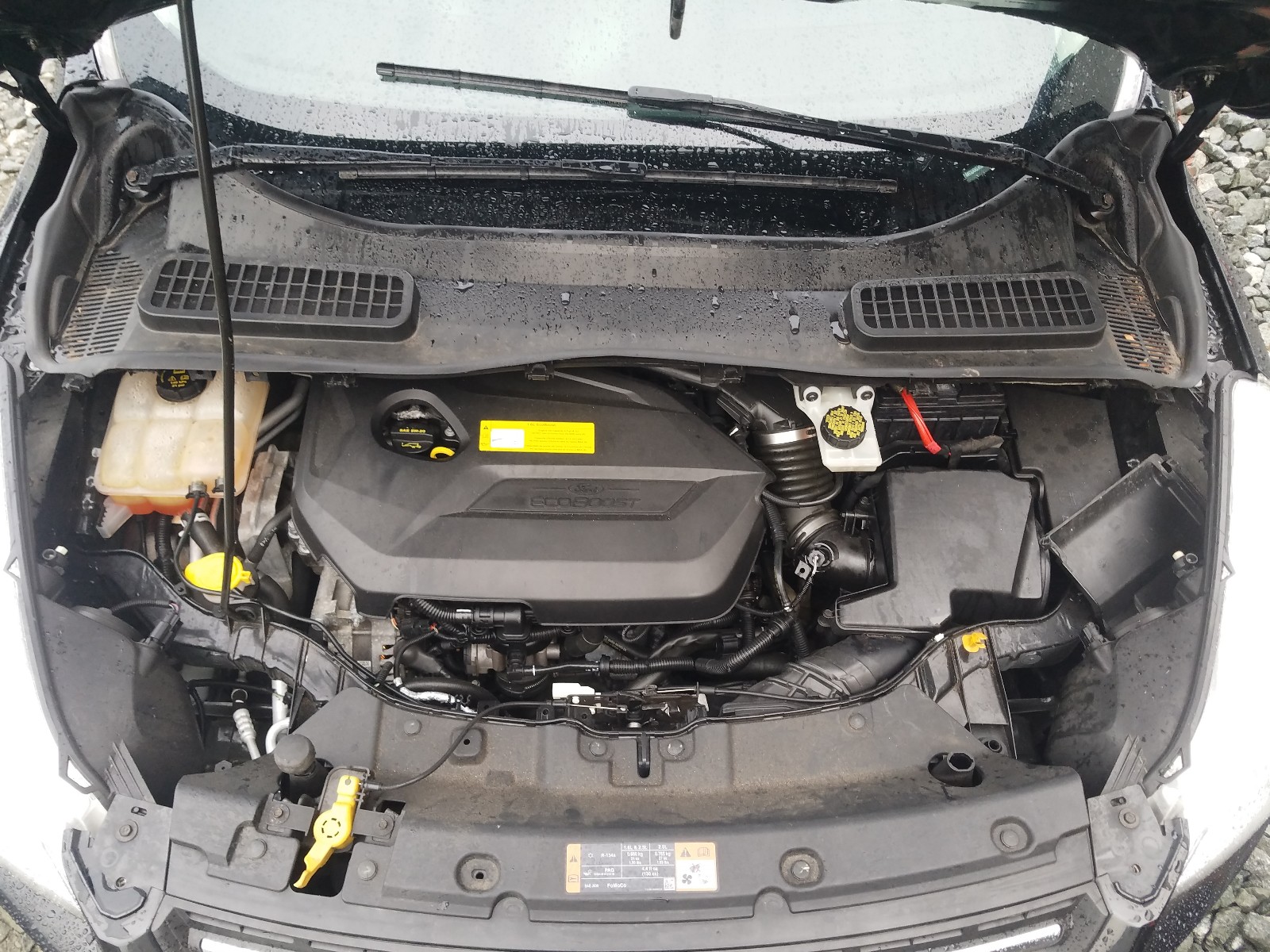 Photo 7 from auction – 2015 FORD ESCAPE SE with VIN 1FMCU0GX0FUB79965