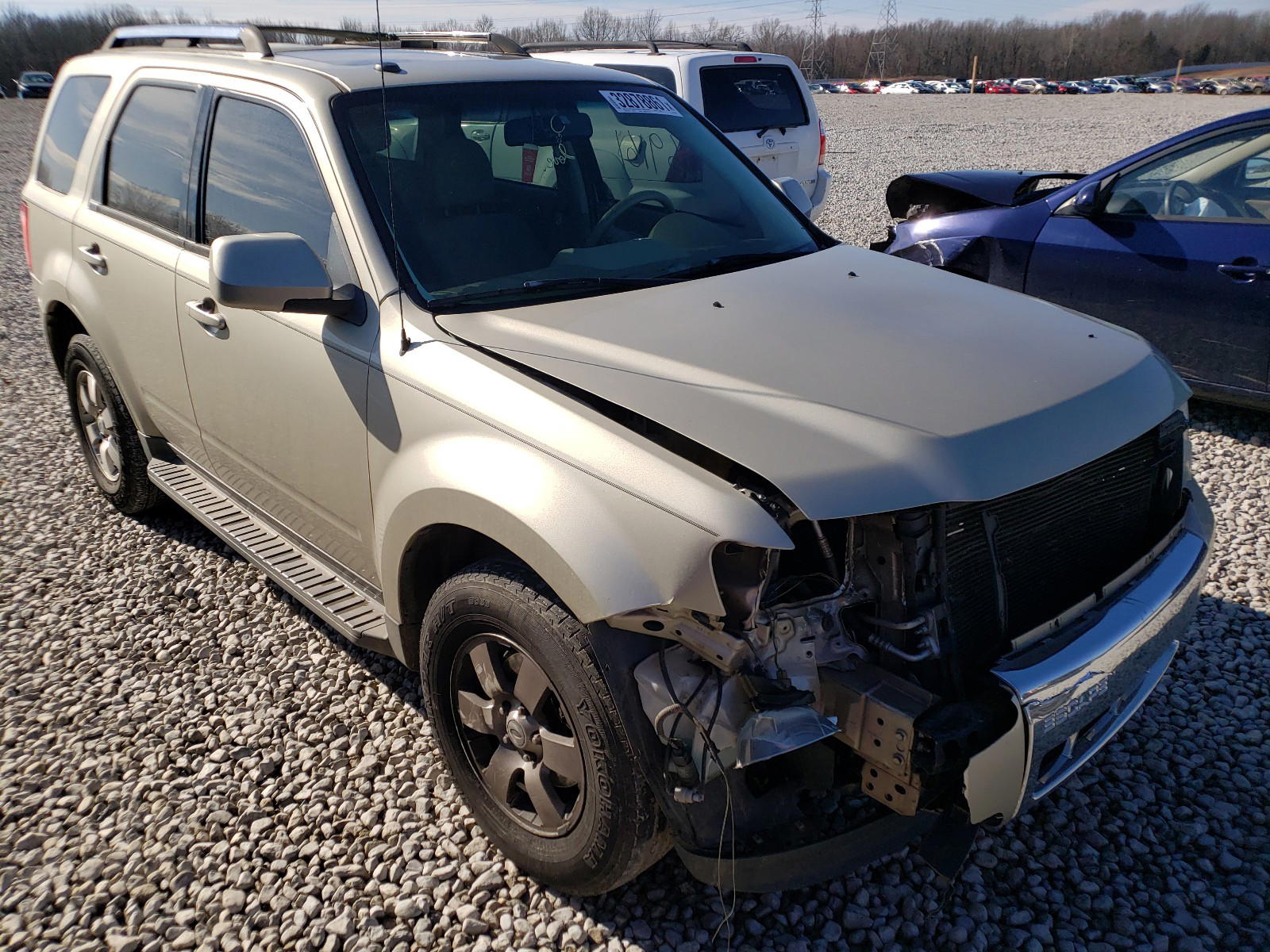 FORD ESCAPE LIM 2010 with VIN 1FMCU0EG8AKB30763 - Photo from auction
