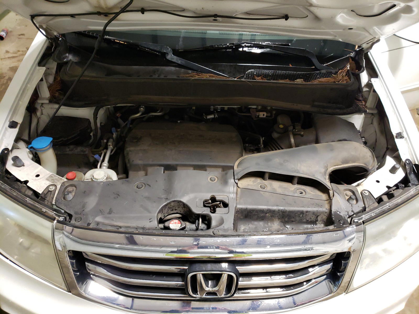 Photo 7 from auction – 2013 HONDA PILOT EXL with VIN 5FNYF3H69DB006236