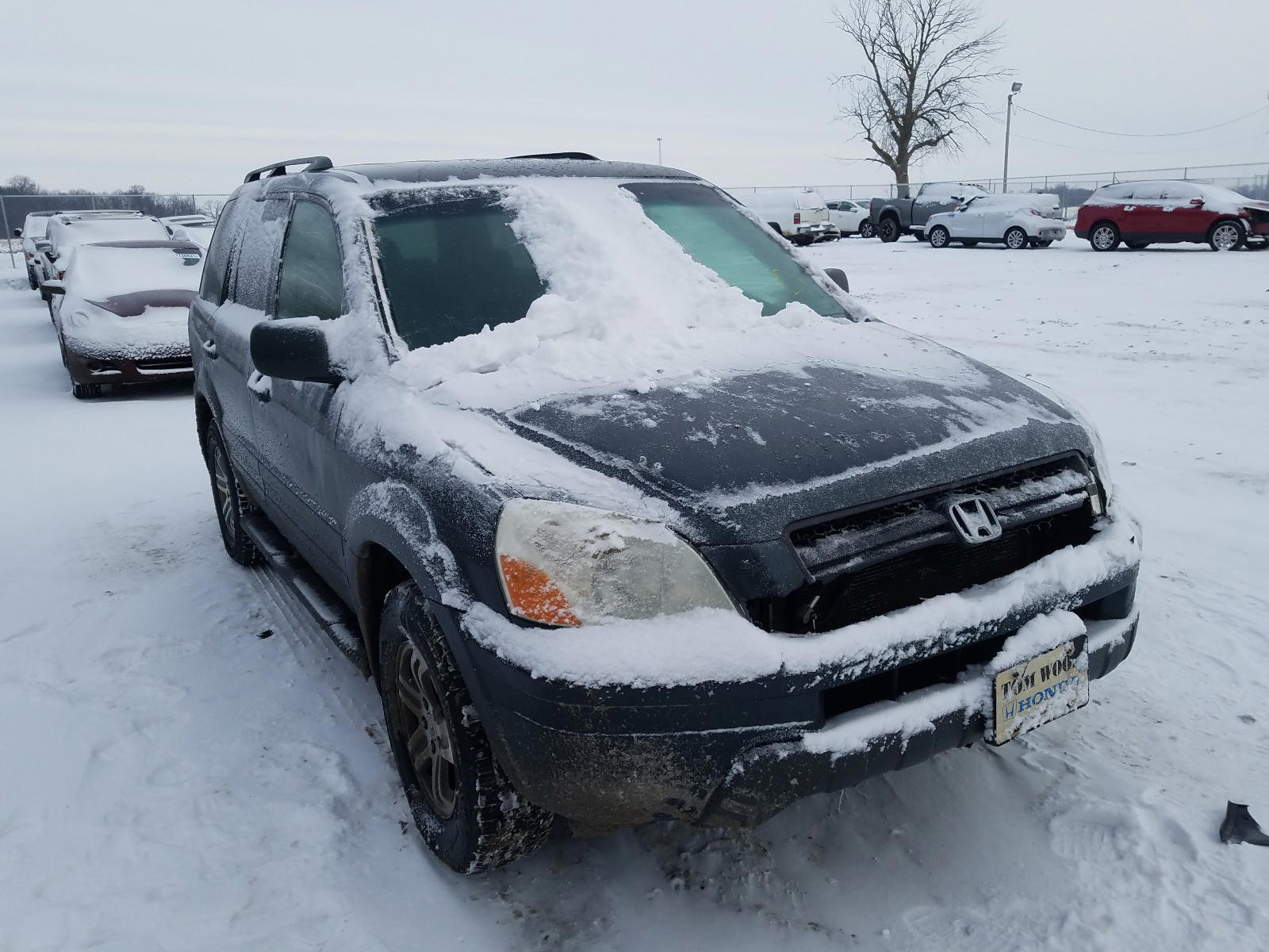 HONDA PILOT 2004 with VIN 2HKYF18574H599267 - Photo from auction