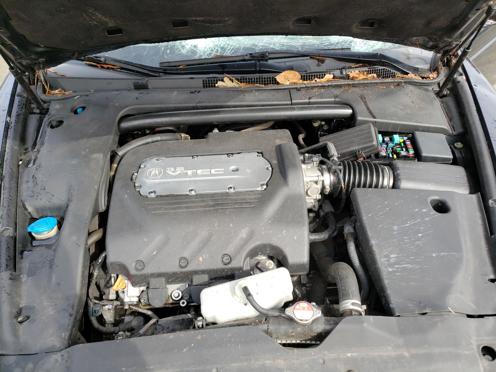 Photo 7 from auction – 2006 ACURA 3.2TL with VIN 19UUA662X6A059099