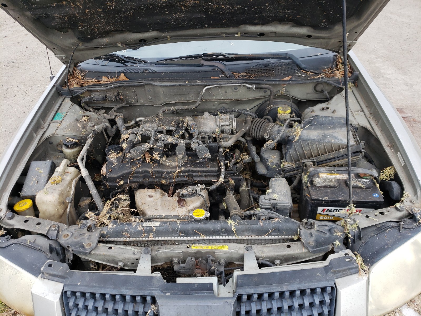 Photo 7 from auction – 2004 NISSAN SENTRA 1.8 with VIN 3N1CB51D74L855067