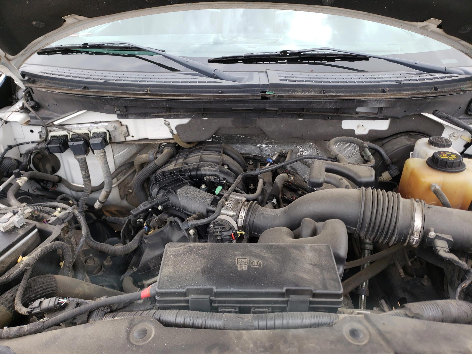 Photo 7 from auction – 2013 FORD F150 with VIN 1FTMF1CM8DFC13429