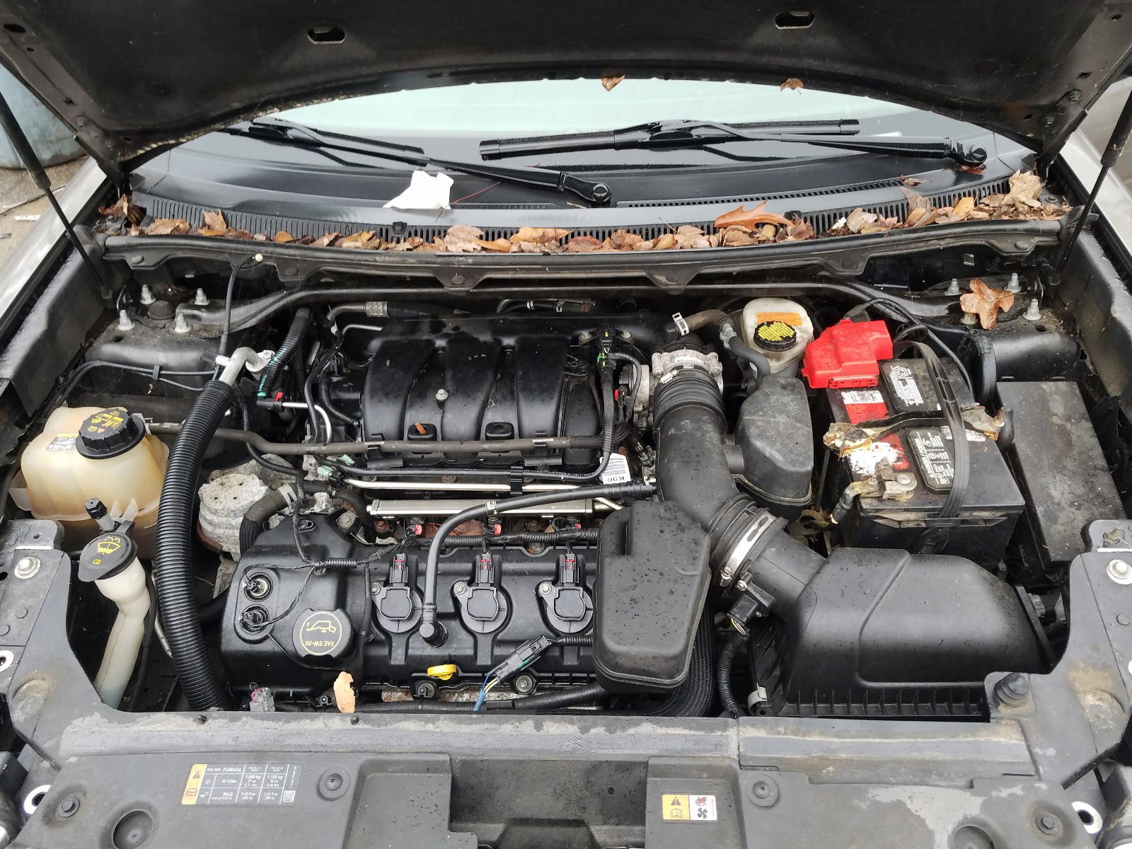 Photo 7 from auction – 2014 FORD FLEX SEL with VIN 2FMGK5C83EBD41725