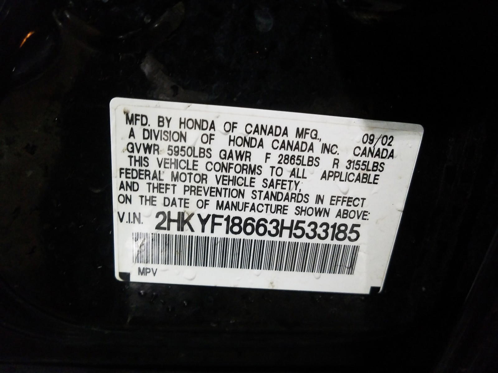 Photo 10 from auction – 2003 HONDA PILOT EXL with VIN 2HKYF18663H533185