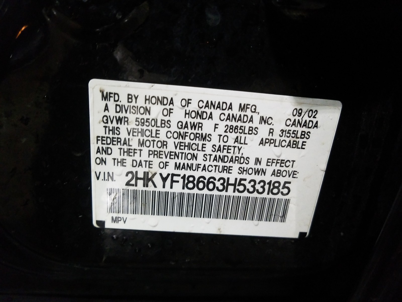 Zdjęcie 10 z aukcji – 2003 HONDA PILOT EXL z VIN 2HKYF18663H533185