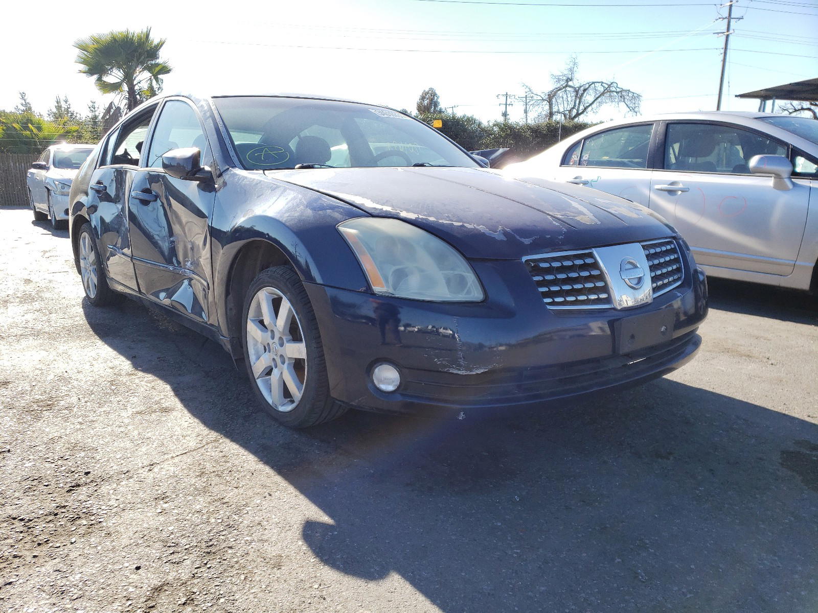 NISSAN MAXIMA SE 2004 with VIN 1N4BA41EX4C834892 - Photo from auction