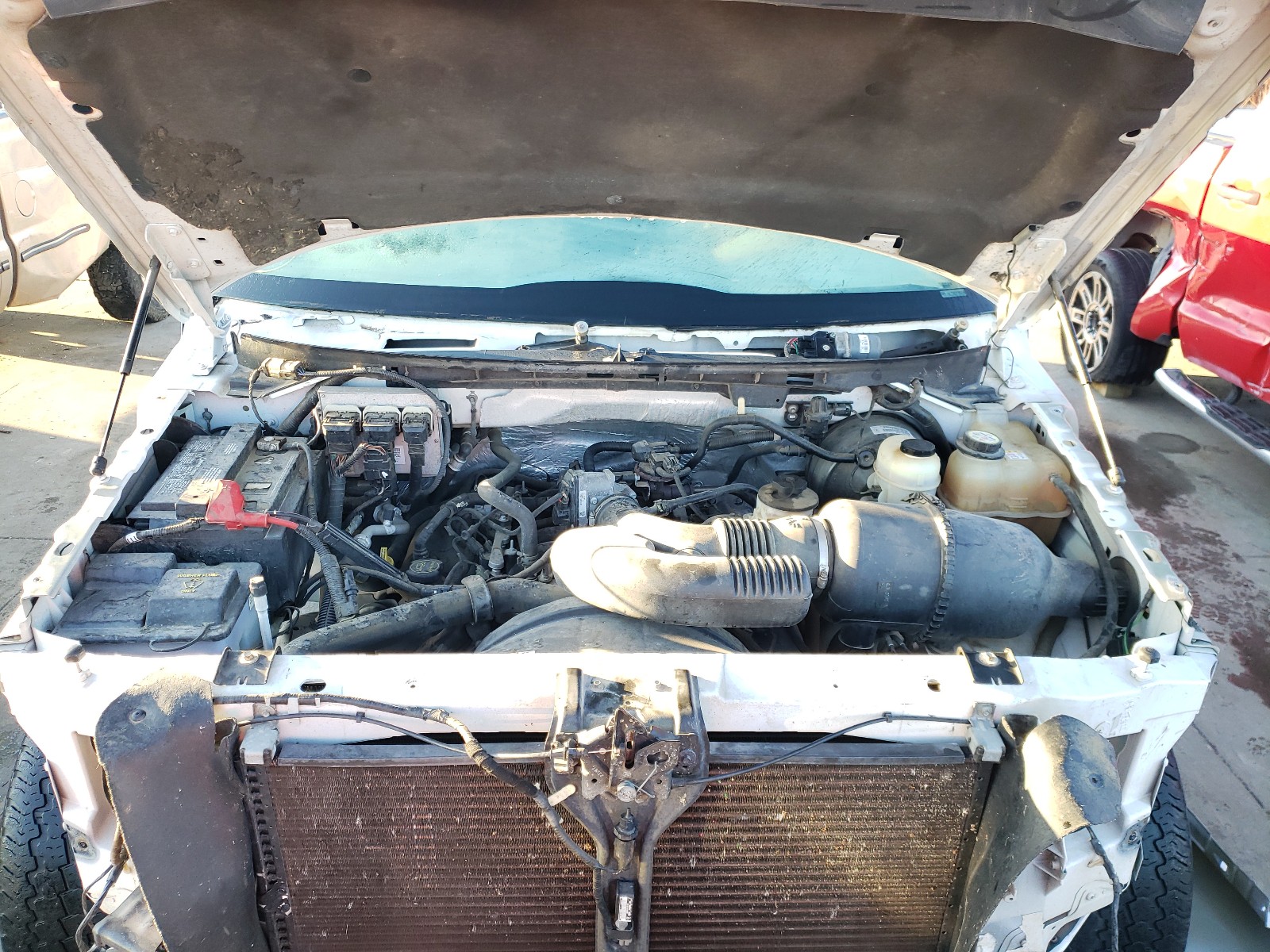 Photo 7 from auction – 2008 FORD F150 SUPER with VIN 1FTRW12W88FA17389