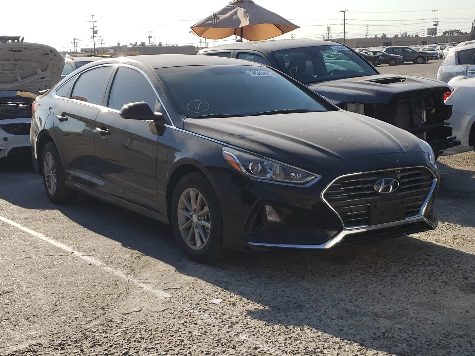 HYUNDAI SONATA SE 2019 with VIN 5NPE24AF5KH747979 - Photo from auction