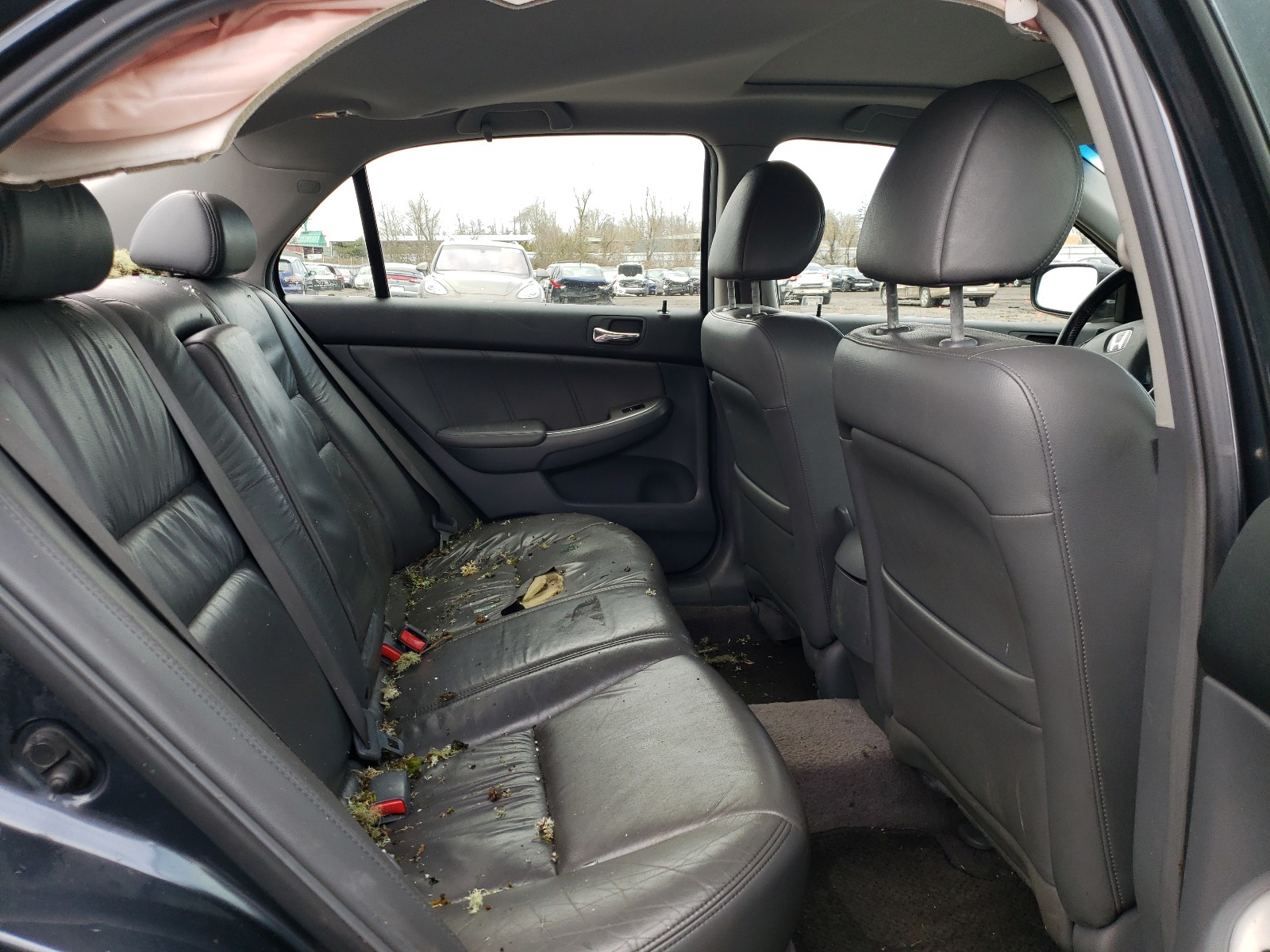 Photo 6 from auction – 2004 HONDA ACCORD EX with VIN JHMCM56804C007741
