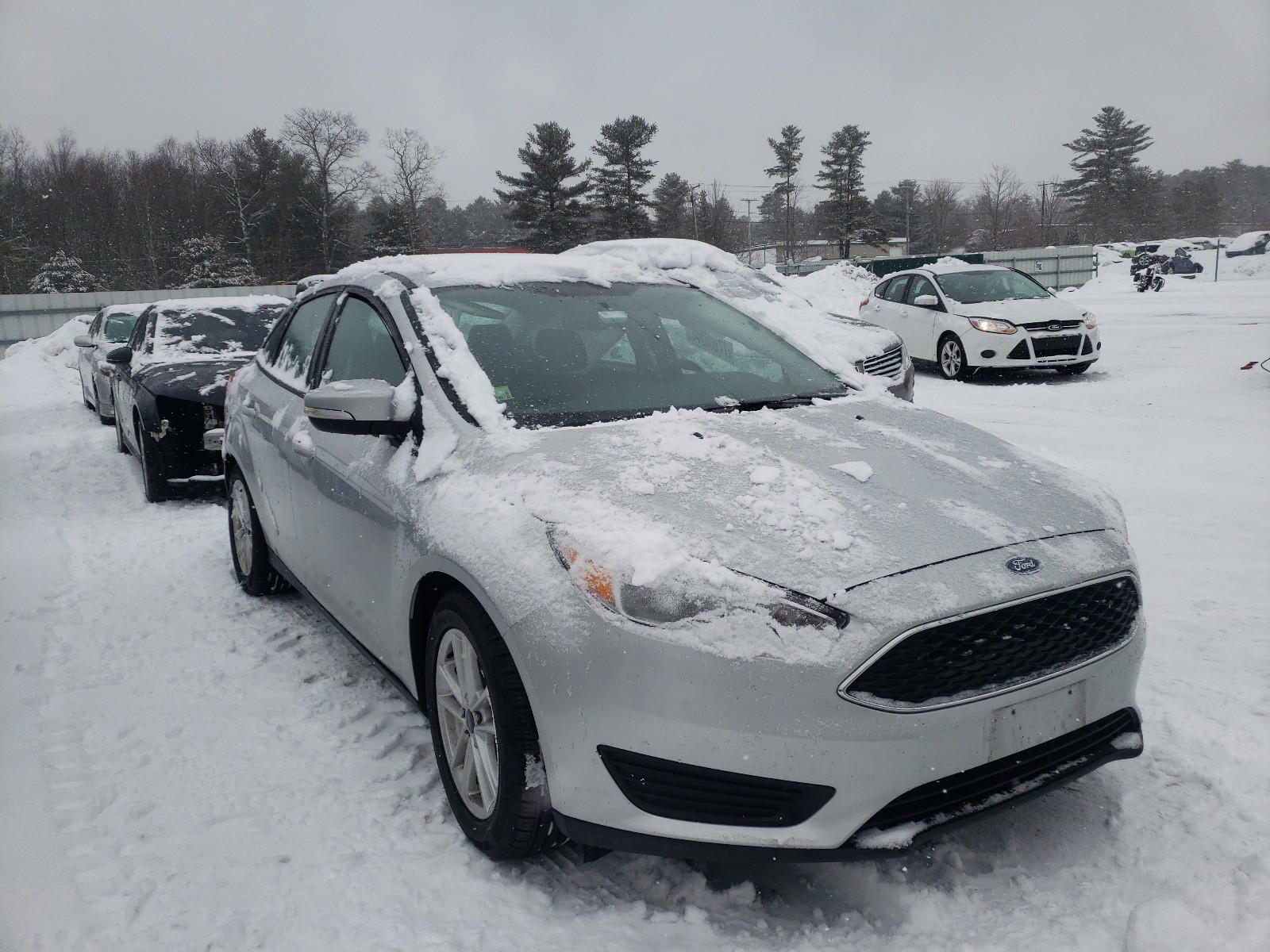 FORD FOCUS SE 2016 with VIN 1FADP3F21GL210418 - Photo from auction