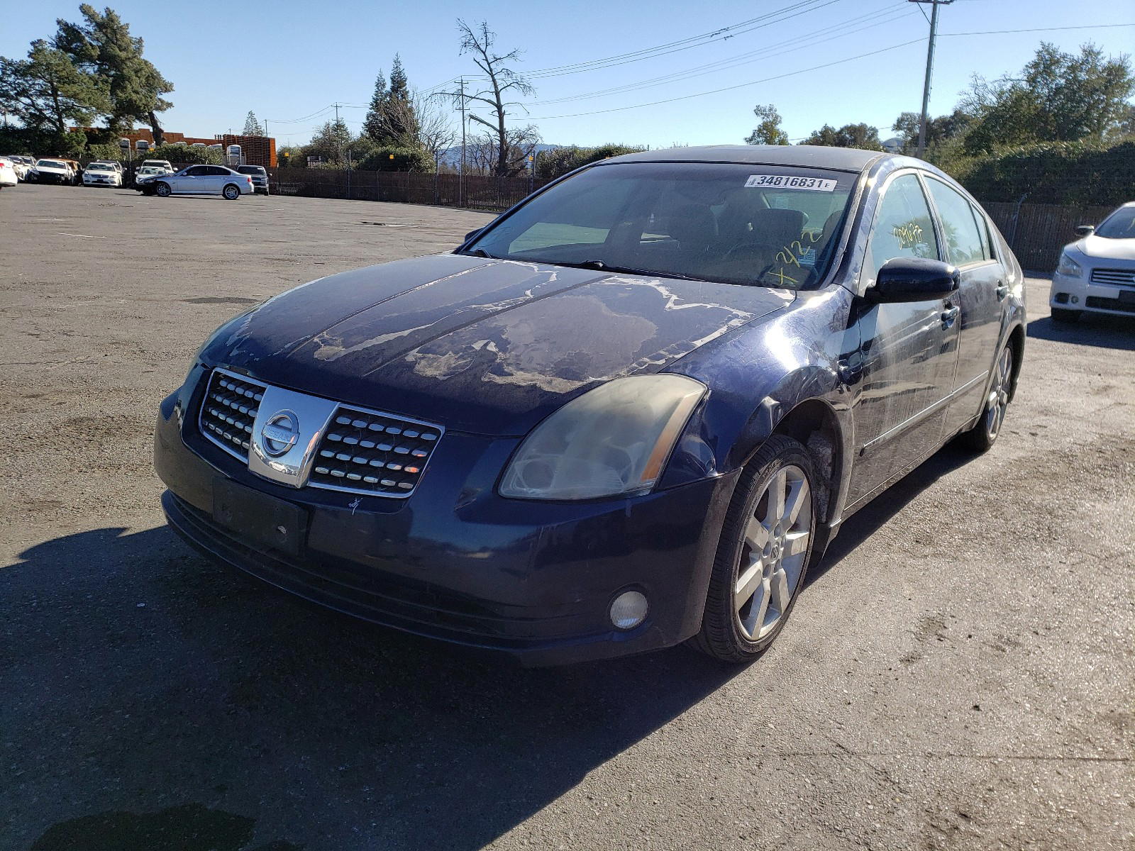 Photo 2 from auction – 2004 NISSAN MAXIMA SE with VIN 1N4BA41EX4C834892