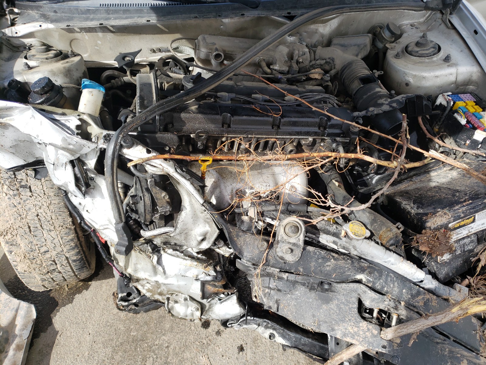 Photo 7 from auction – 2005 HYUNDAI TIBURON with VIN KMHHM65D15U166562