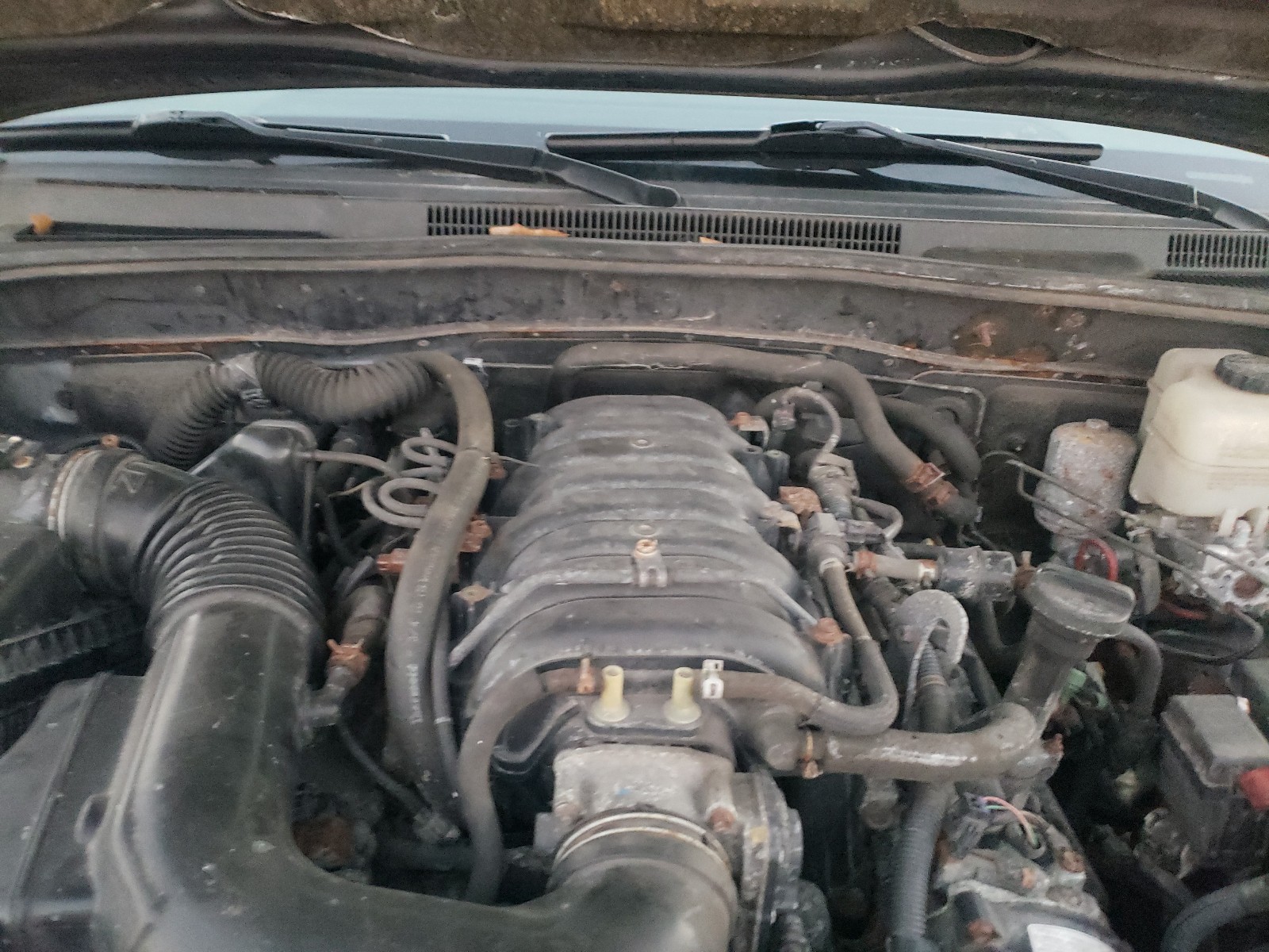 Photo 7 from auction – 2005 TOYOTA 4RUNNER LI with VIN JTEBT17R350045933