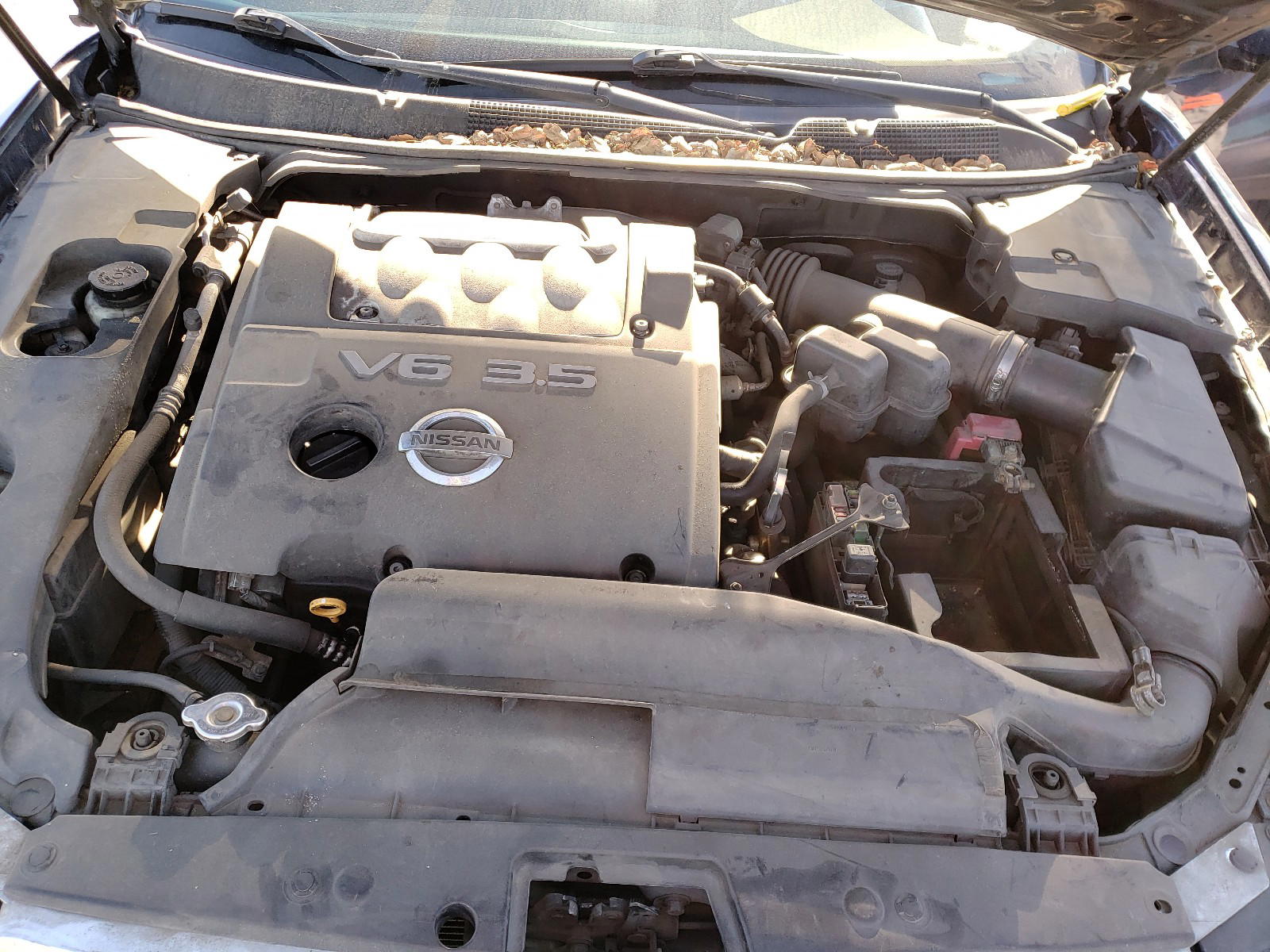 Photo 7 from auction – 2004 NISSAN MAXIMA SE with VIN 1N4BA41EX4C834892
