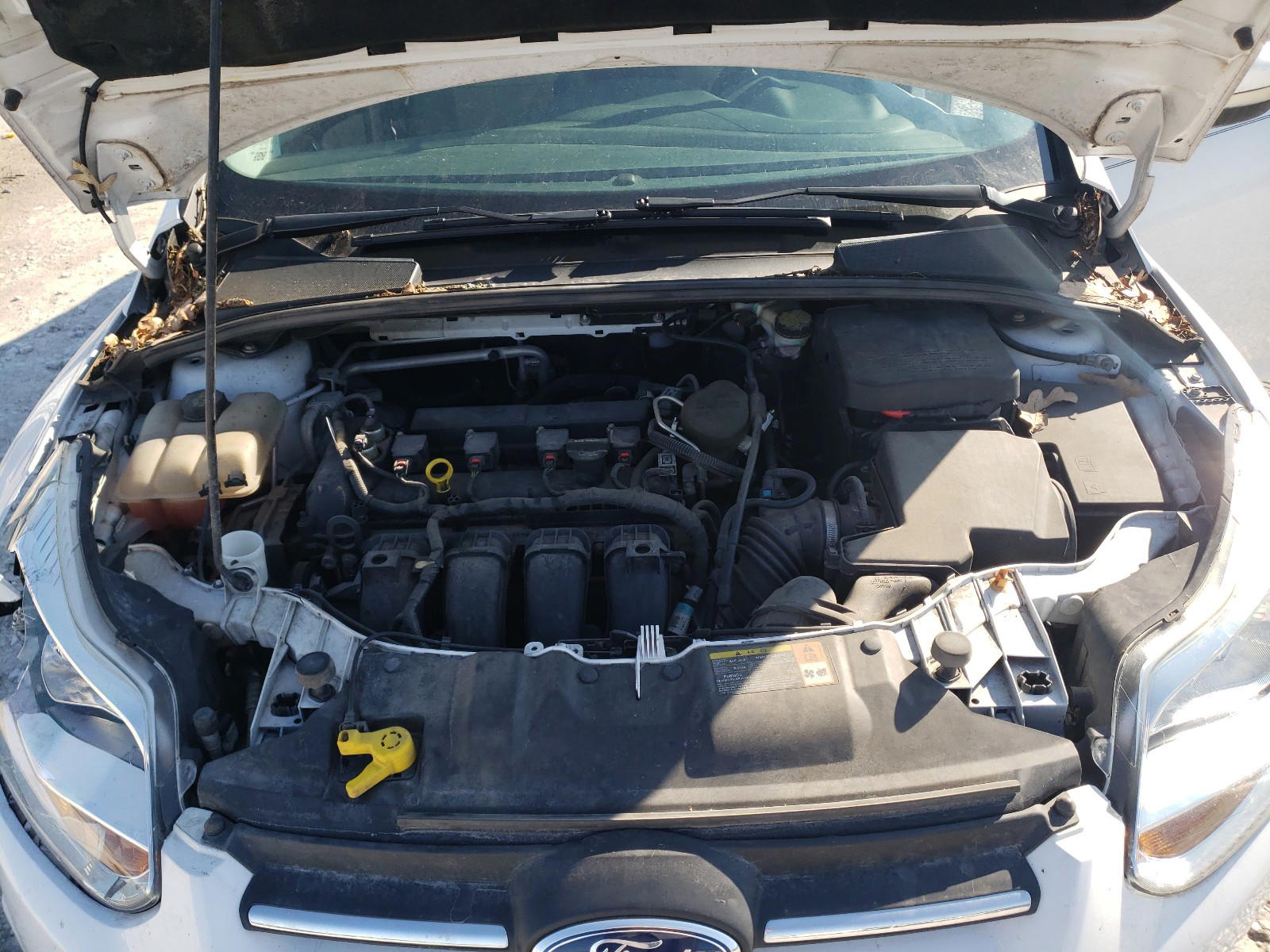 Photo 7 from auction – 2014 FORD FOCUS SE with VIN 1FADP3F23EL156018