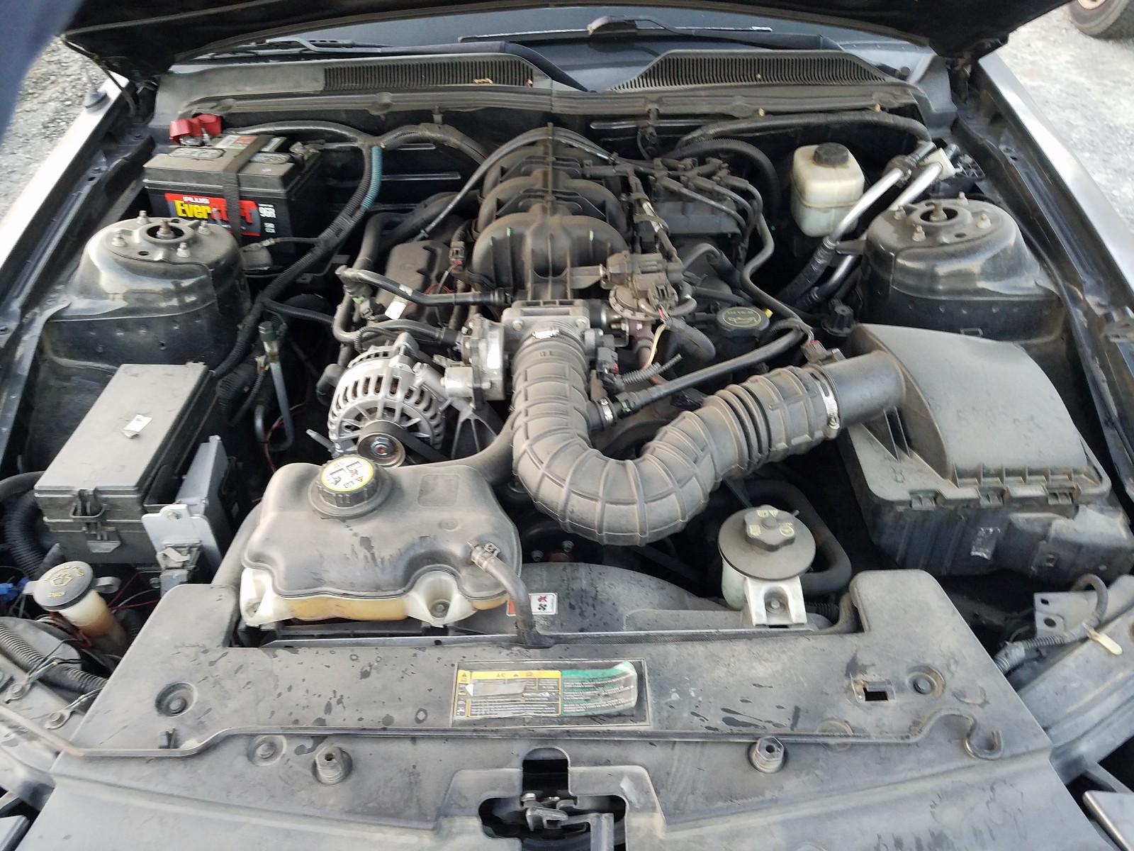 Photo 7 from auction – 2007 FORD MUSTANG with VIN 1ZVFT80N275353913