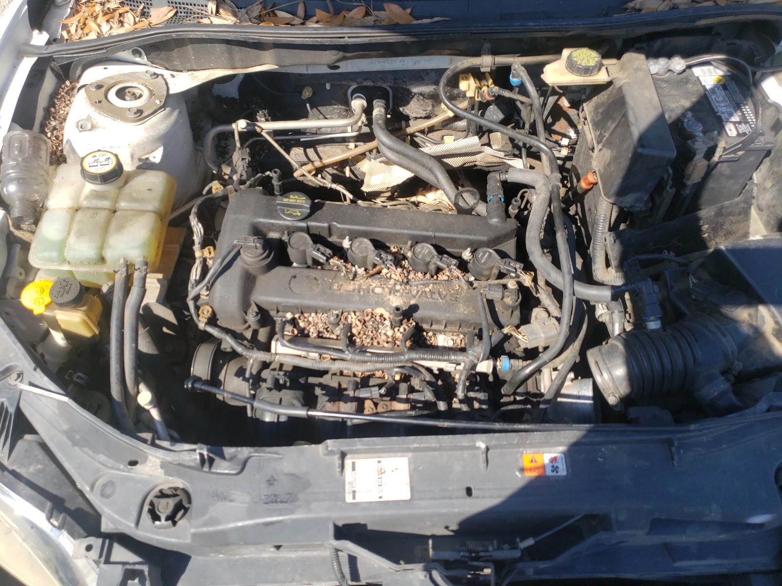 Photo 7 from auction – 2004 MAZDA 3 S with VIN JM1BK123441163430