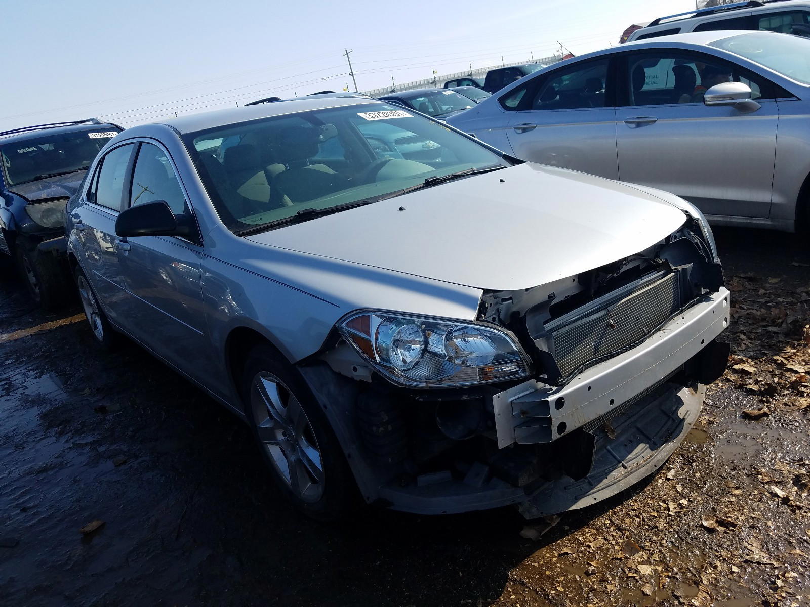 CHEVROLET MALIBU LS 2012 with VIN 1G1ZB5E04CF320892 - Photo from auction