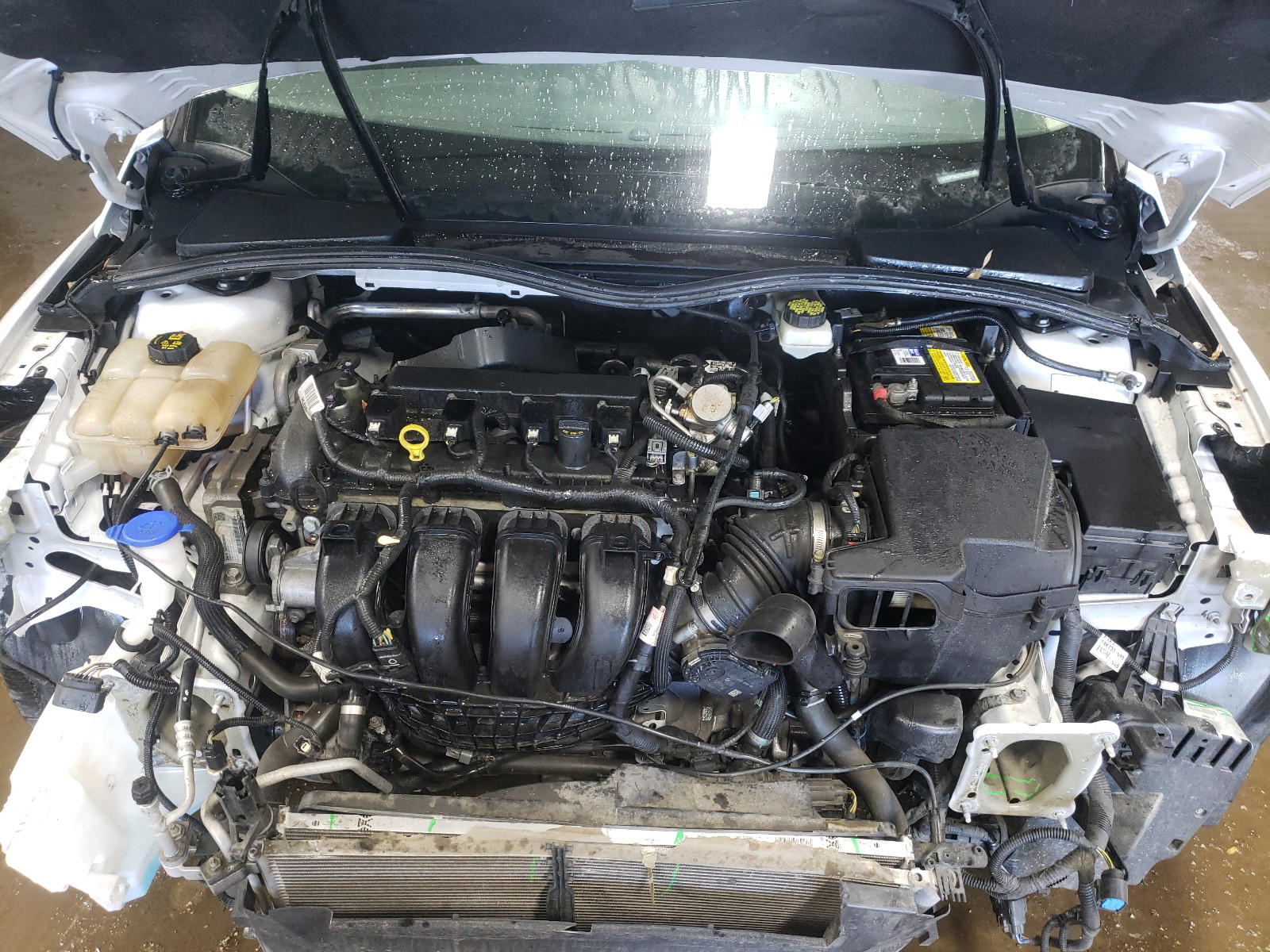 Photo 7 from auction – 2017 FORD FOCUS SE with VIN 1FADP3K27HL267326