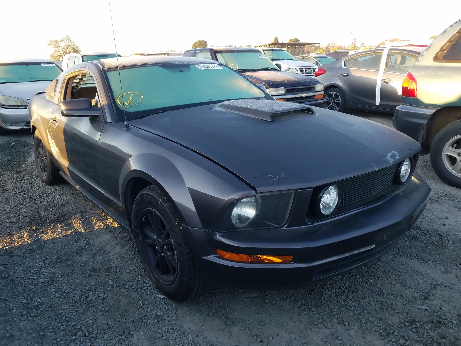 Photo 1 from auction – 2007 FORD MUSTANG with VIN 1ZVFT80N275353913