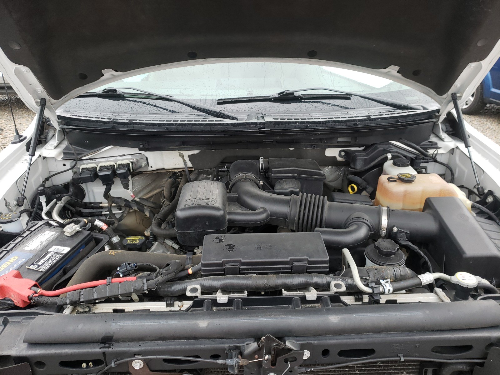Photo 7 from auction – 2010 FORD F150 SUPER with VIN 1FTFW1EV3AFB09165