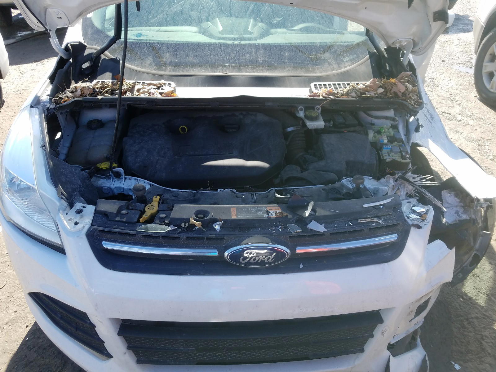Photo 7 from auction – 2014 FORD ESCAPE SE with VIN 1FMCU9G95EUC53983