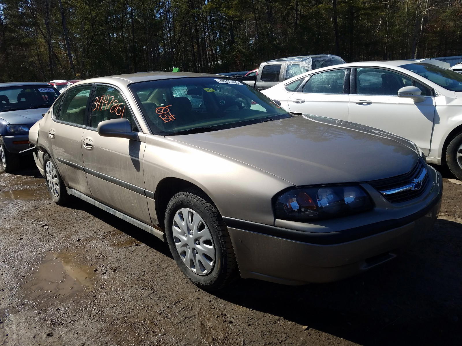 CHEVROLET IMPALA 2002 with VIN 2G1WF55E629147824 - Photo from auction