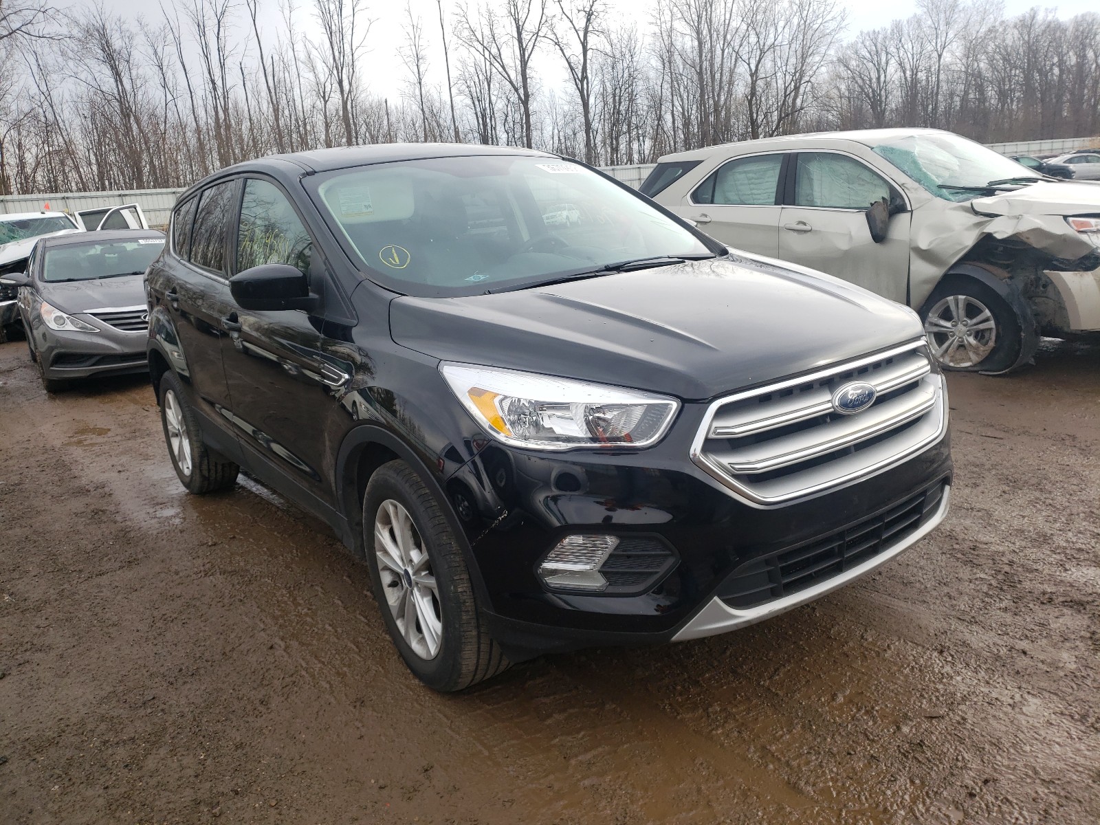 FORD ESCAPE SE 2017 with VIN 1FMCU0GDXHUD37138 - Photo from auction