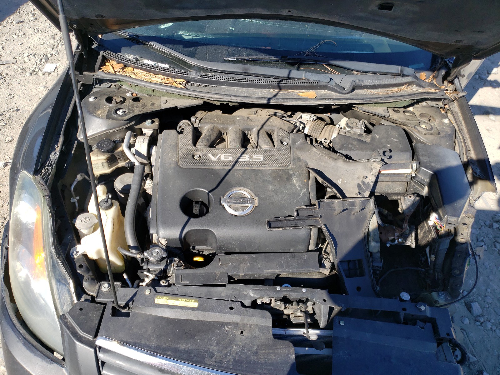 Photo 7 from auction – 2010 NISSAN ALTIMA BAS with VIN 1N4BL21E29C164809