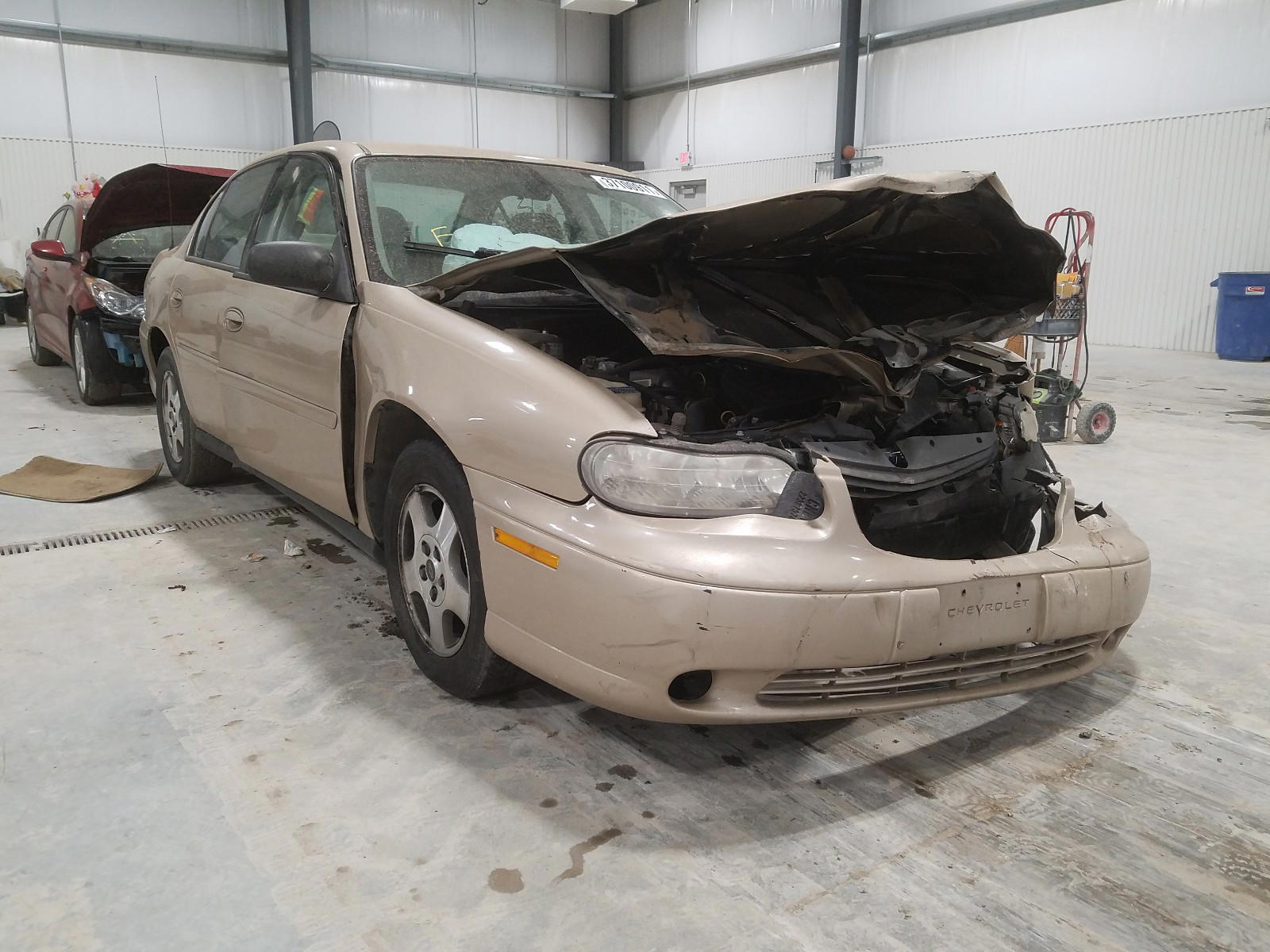 CHEVROLET CLASSIC 2005 with VIN 1G1ND52F55M239948 - Photo from auction