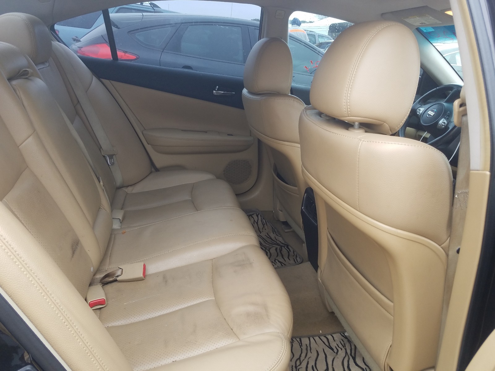 Photo 6 from auction – 2010 NISSAN MAXIMA S with VIN 1N4AA5AP5AC859827