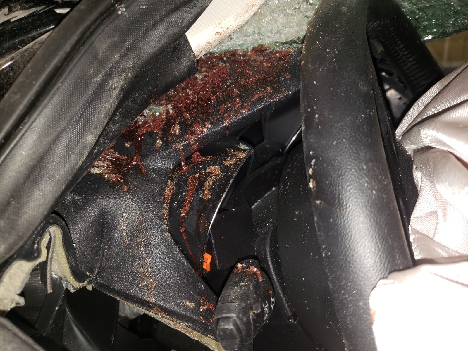 Photo 8 from auction – 2019 FORD ESCAPE TIT with VIN 1FMCU9J92KUB29089
