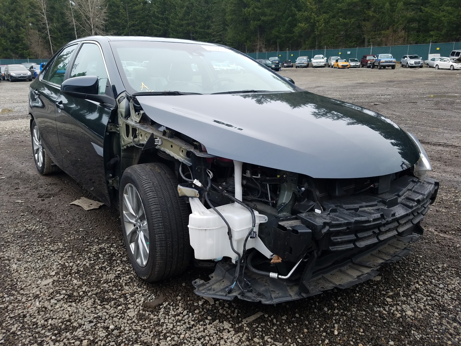 TOYOTA CAMRY HYBR 2016 with VIN 4T1BD1FK4GU182702 - Photo from auction