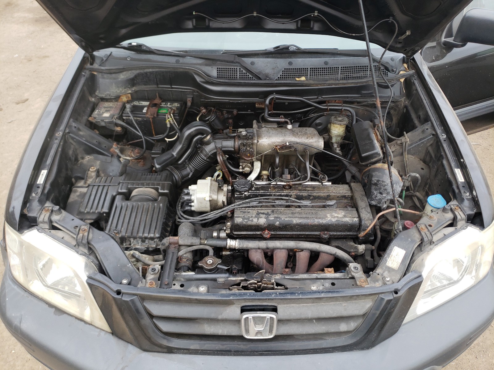 Photo 7 from auction – 1997 HONDA CR-V LX with VIN JHLRD1856VC029075